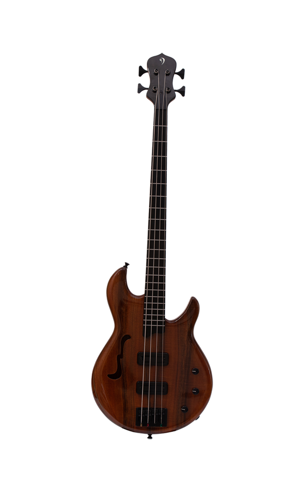 Model 10- bass guitar