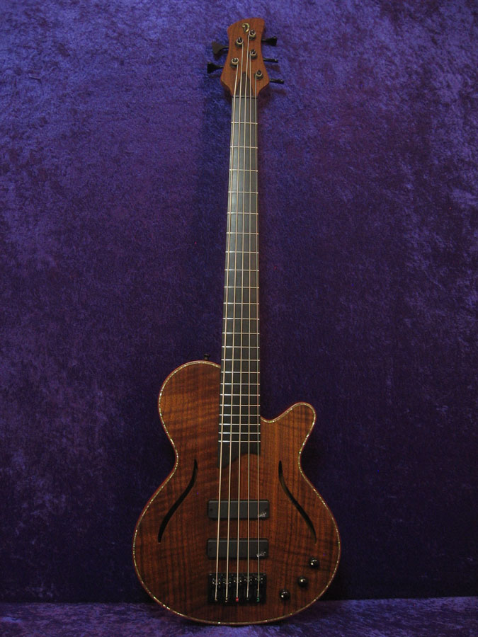 BG 5 String Semi Hollow Bass